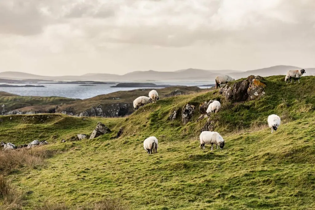 Isle of Skye, 12 Best Things to Do on the Isle of Skye, Scotland