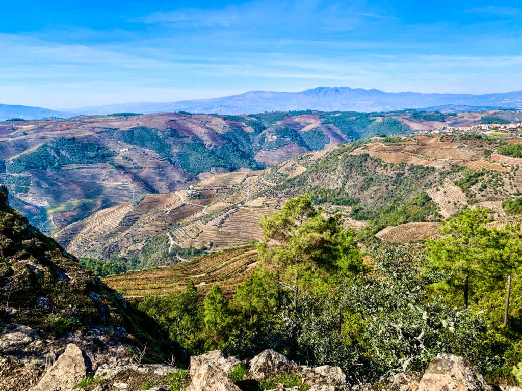 Douro Valley, Douro Valley – The Oldest &#038; Most Beautiful Wine Region in the World