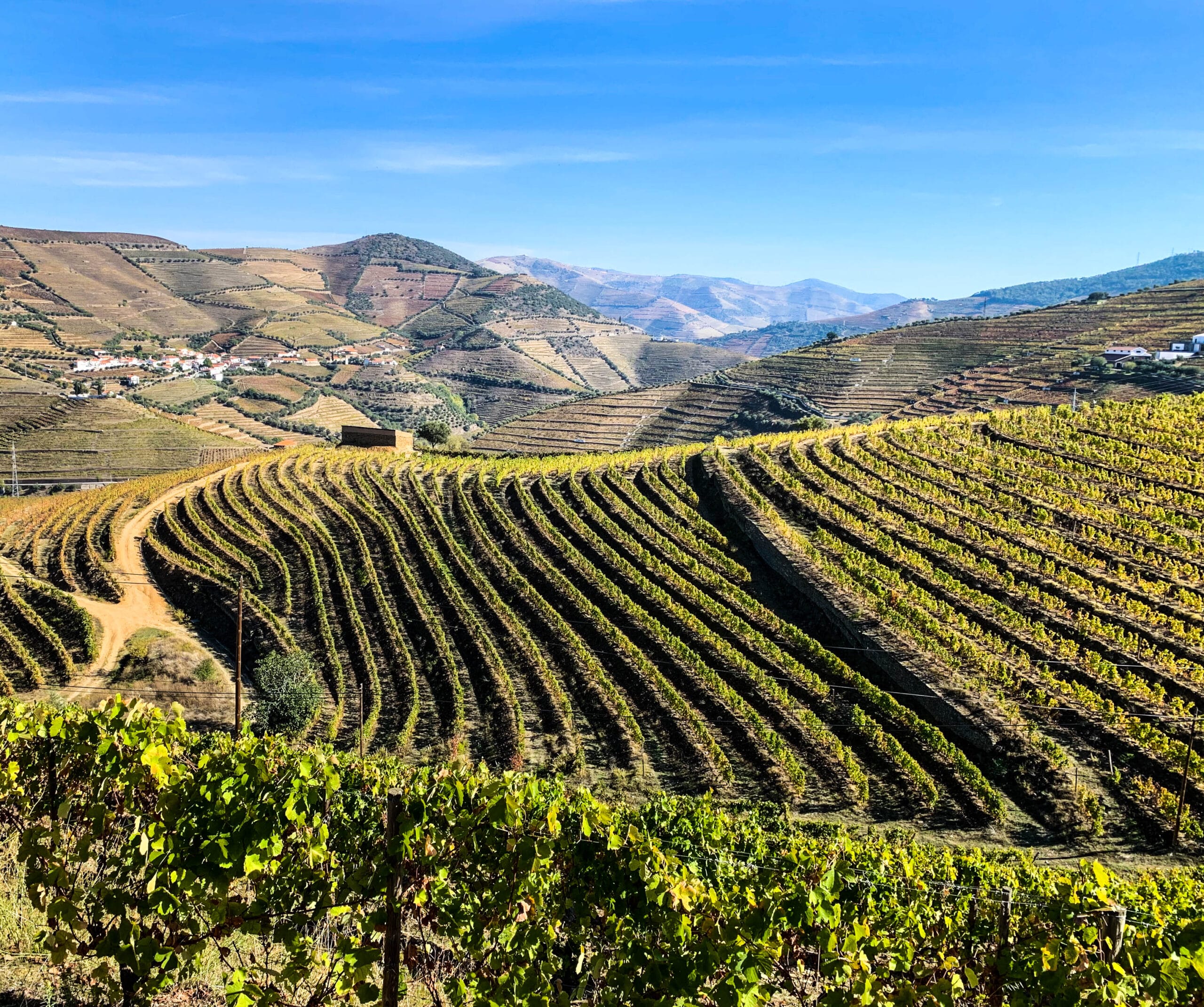 Douro Valley The Oldest & Most Beautiful Wine Region in the World