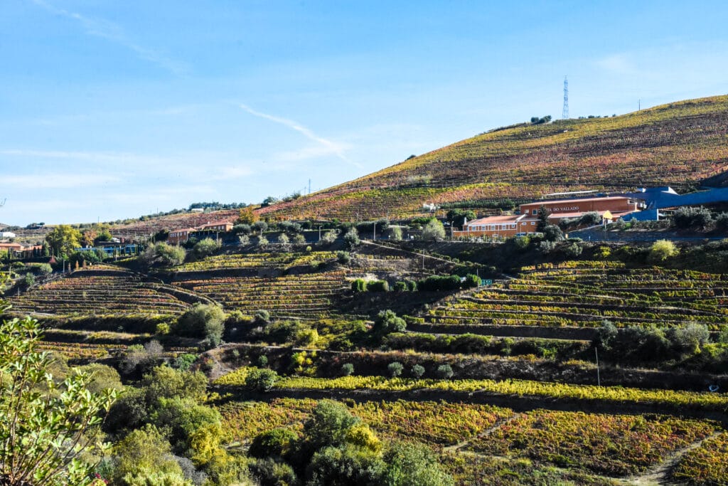 Douro Valley, Douro Valley – The Oldest &#038; Most Beautiful Wine Region in the World