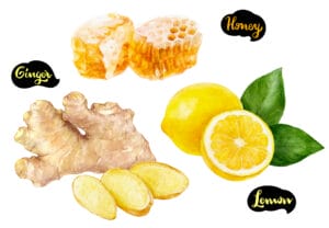 Ginger honey lemon watercolor hand drawn illustration